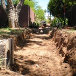 Windsor Place - The Backyard (2)
