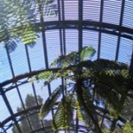 Botanical Gardens (b), Balboa Park, San Diego, California Botanical Gardens (b), Balboa Park, San Diego, California