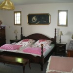 The view inside the room. That's a lot of pink.