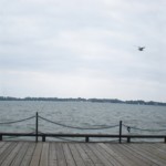 And decided to sit on another bench and do nothing again