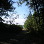 So, the last day of our trip, we took the southern Ontario shoreline back to Michigan, and stopped at a few beaches. This was the first.