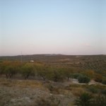 The view